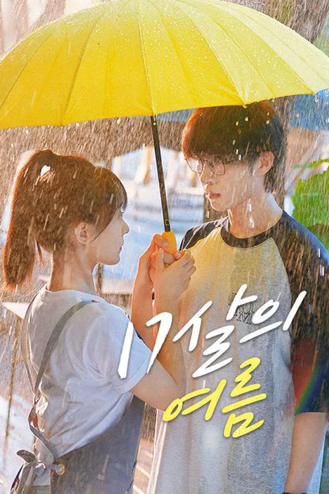 17살의 여름 poster