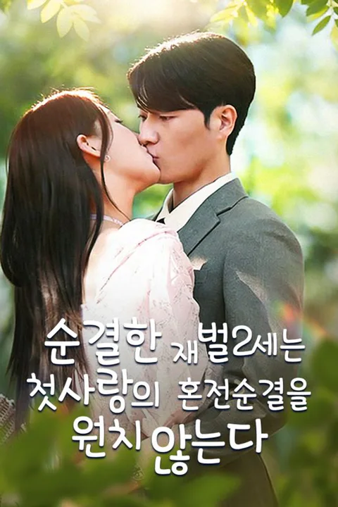 순결한 재벌2세는 첫사랑의 혼전순결을 원치 않는다 poster