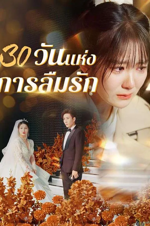โปสเตอร์ 30 วันแห่งการลืมรัก