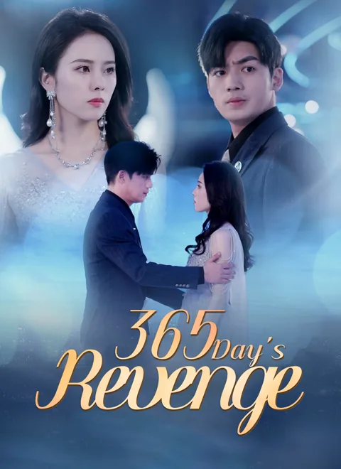 365 Day's Revenge poster