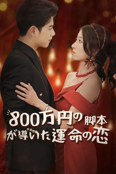800万円の脚本が導いた運命の恋のポスター