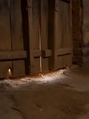 80'lerde denizden zengin oldum afişi