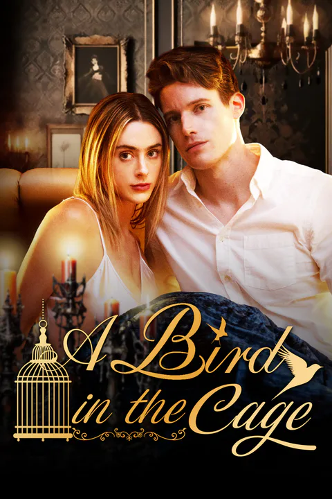 A Bird In The Cage poster