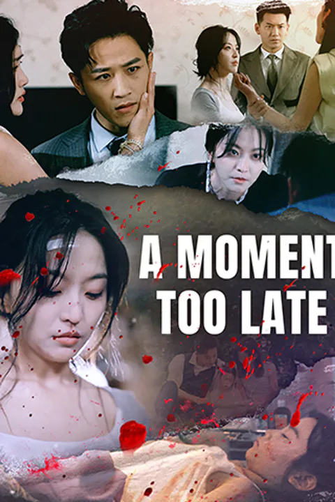 A Moment Too Late poster