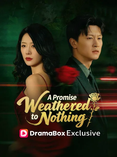 A Promise Weathered to Nothing poster