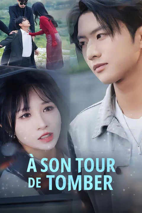 Affiche d’À son tour de tomber