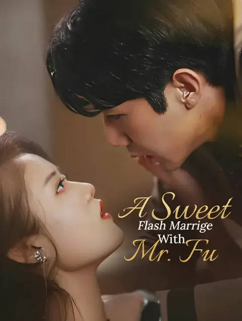 A Sweet Flash Marrige With Mr. Fu poster