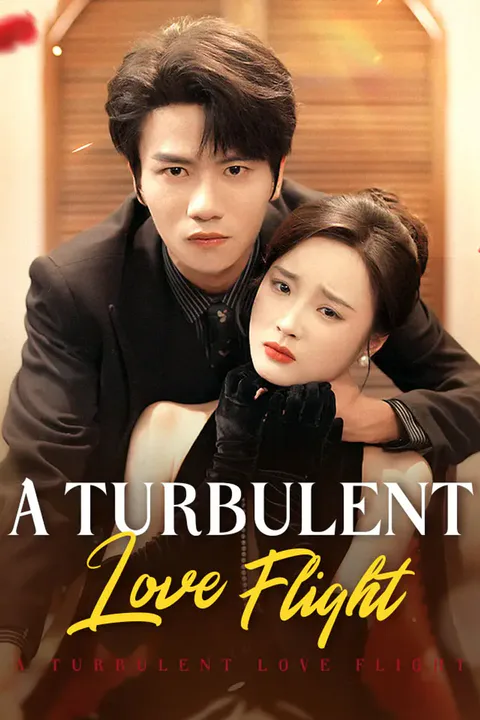 A Turbulent Love Flight poster