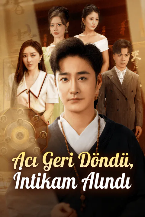 Acı Geri Döndü, İntikam Alındı afişi