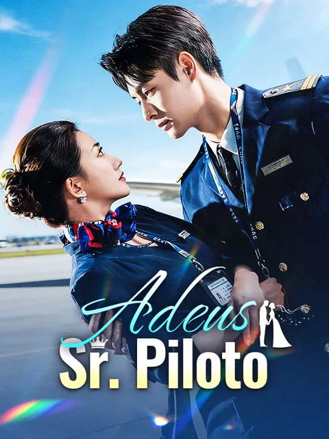 Pôster de Adeus, Sr. Piloto
