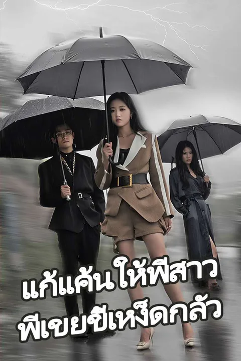 โปสเตอร์ แก้แค้นให้พี่สาว พี่เขยขี้เหง็ดกลัว