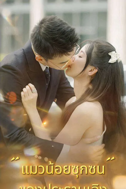 โปสเตอร์ แมวน้อยซุกซน" ของประธานเฉิง