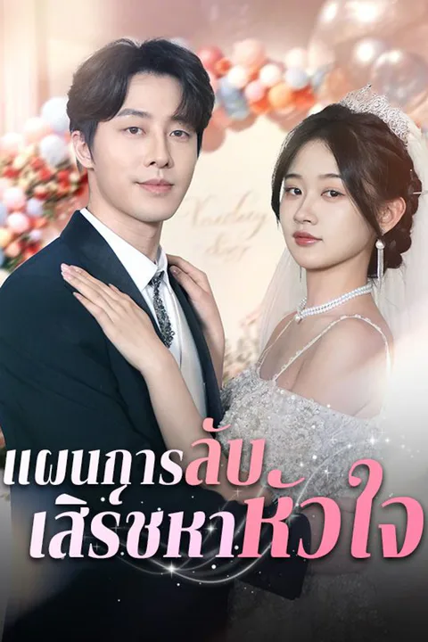 โปสเตอร์ แผนการลับ เสิร์ชหาหัวใจ