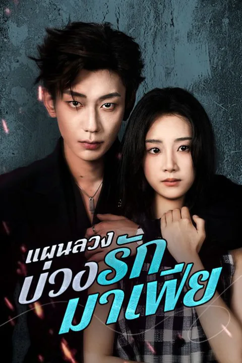 โปสเตอร์ แผนลวงบ่วงรักมาเฟีย