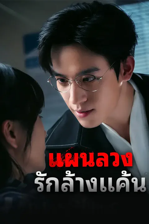 โปสเตอร์ แผนลวงรักล้างแค้น