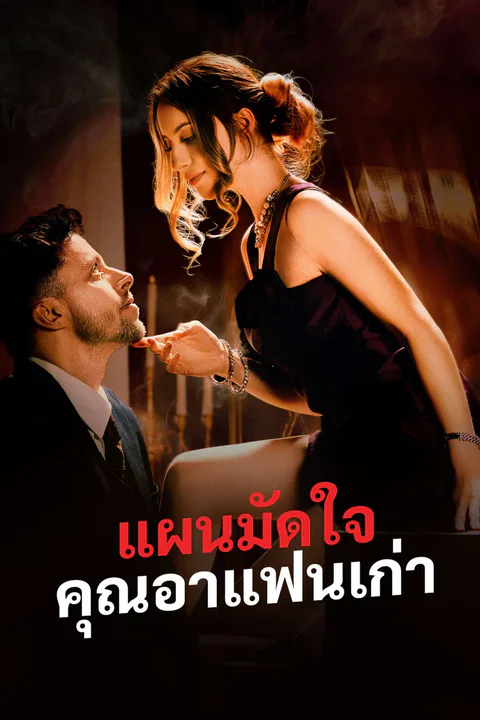 โปสเตอร์ แผนมัดใจคุณอาแฟนเก่า