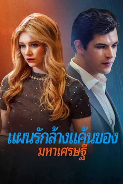 โปสเตอร์ แผนรักล้างแค้น ของมหาเศรษฐี