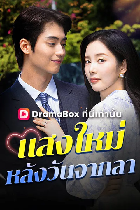 โปสเตอร์ แสงใหม่หลังวันจากลา