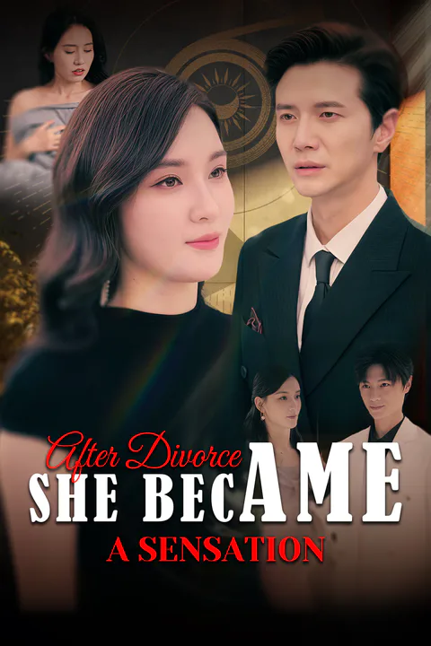 After Divorce, She Became a Sensation poster