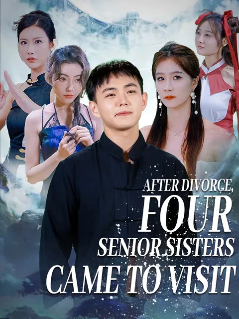 After Divorce，Four Senior Sisters Came to Visit poster