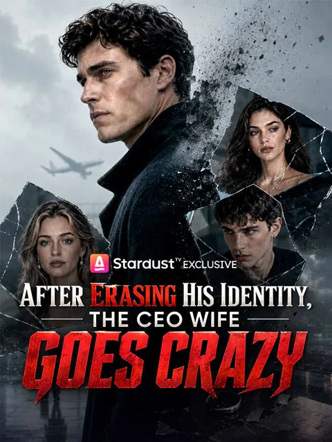 After Erasing His Identity, The CEO Wife Goes Crazy poster