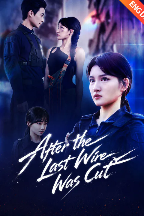 (Dubbed) After the Last Wire Was Cut poster