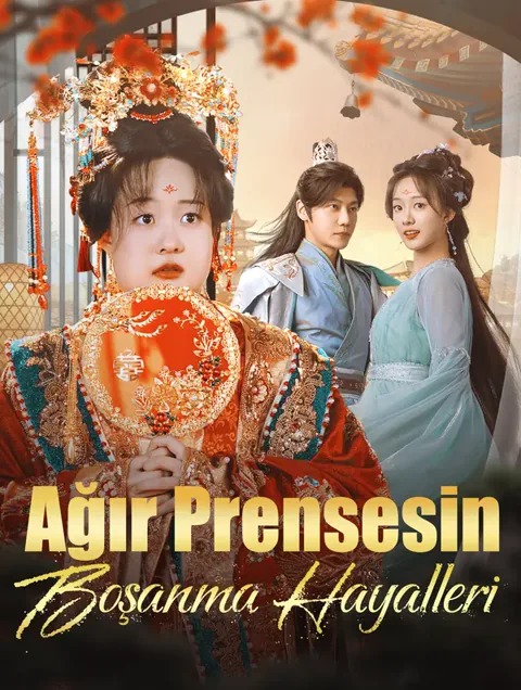 Ağır Prensesin Boşanma Hayalleri afişi