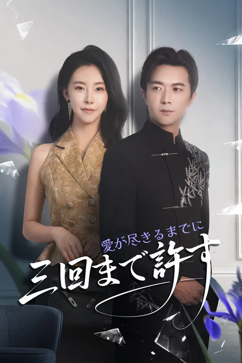 愛が尽きるまでに、三回まで許すのポスター
