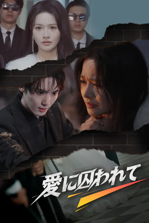 愛に囚われてのポスター