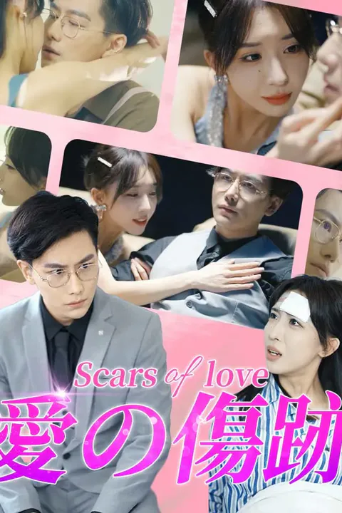 愛の傷跡のポスター