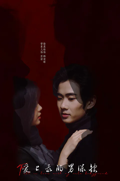 《爱上我的男保镖》海报