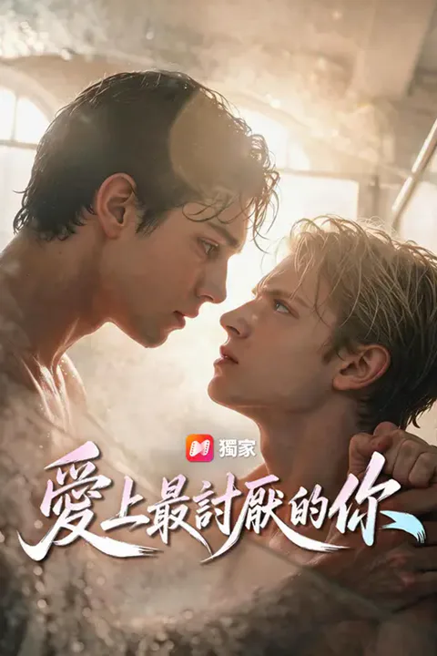《愛上最討厭的你》海報
