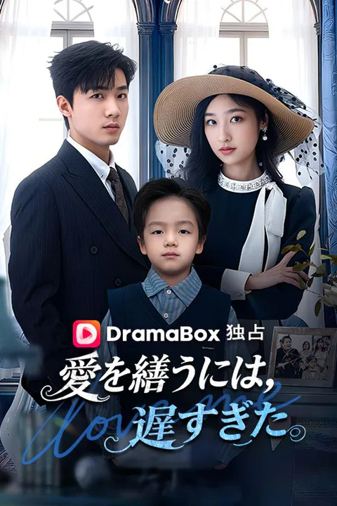 愛を繕うには、遅すぎた（吹き替え）のポスター