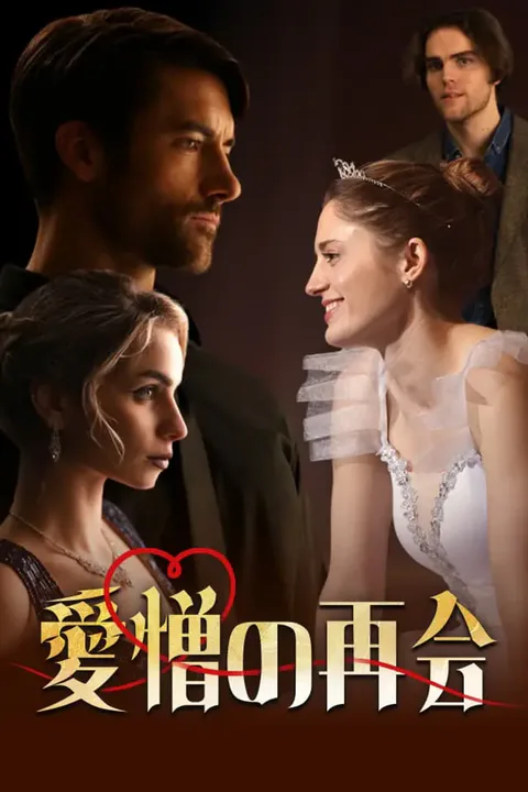 愛憎の再会のポスター