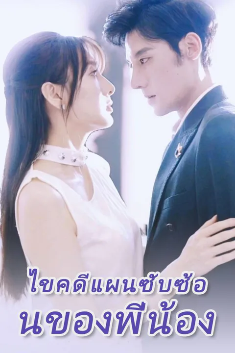โปสเตอร์ ไขคดีแผนซับซ้อนของพี่น้อง