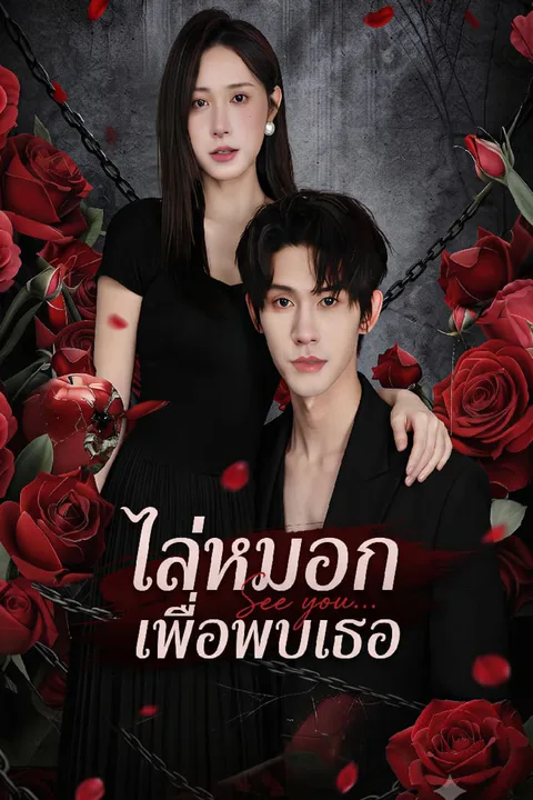 โปสเตอร์ ไล่หมอกเพื่อพบเธอ
