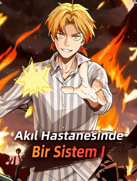 Akıl Hastanesinde Bir Sistem I afişi