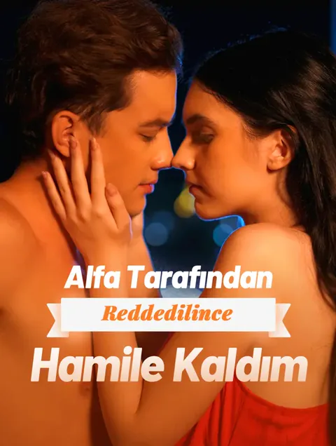 Alfa Tarafından Reddedilince Hamile Kaldım afişi