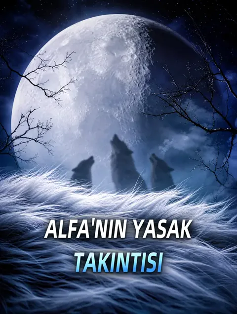 ALFA'NIN YASAK TAKINTISI afişi