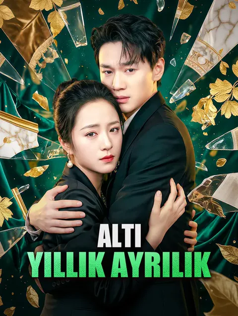 Altı Yıllık Ayrılık afişi