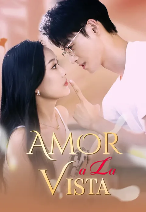 Póster de Amor a la Vista