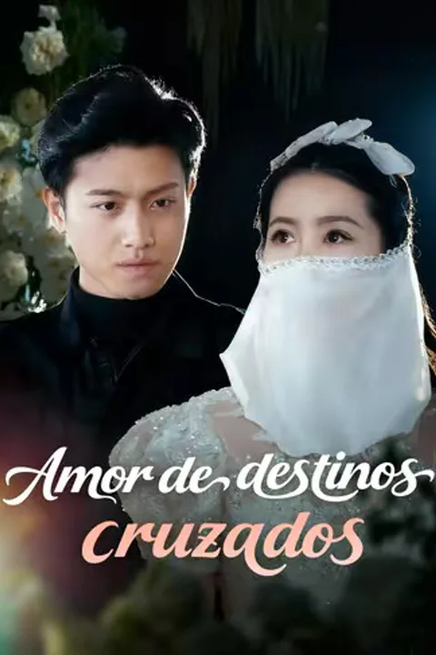 Pôster de (Dublado) Amor de destinos cruzados