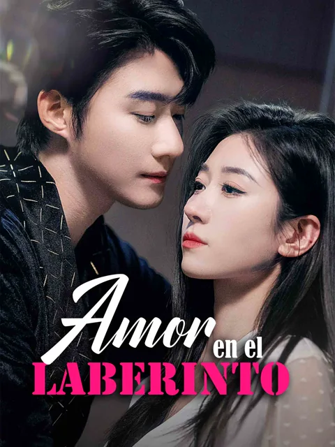 Póster de Amor en el Laberinto