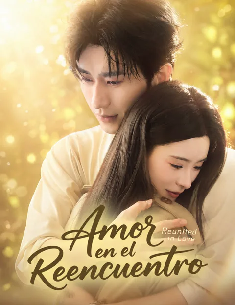 Póster de Amor en el reencuentro(Doblado)