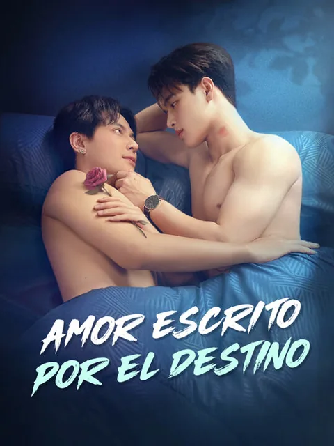 Póster de Amor Escrito por el Destino