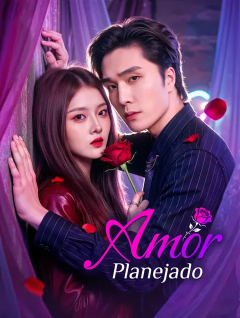 Pôster de Amor Planejado(Dublado)