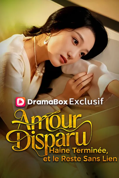 Affiche d’Amour Disparu, Haine Terminée, et le Reste Sans Lien (Doublé)