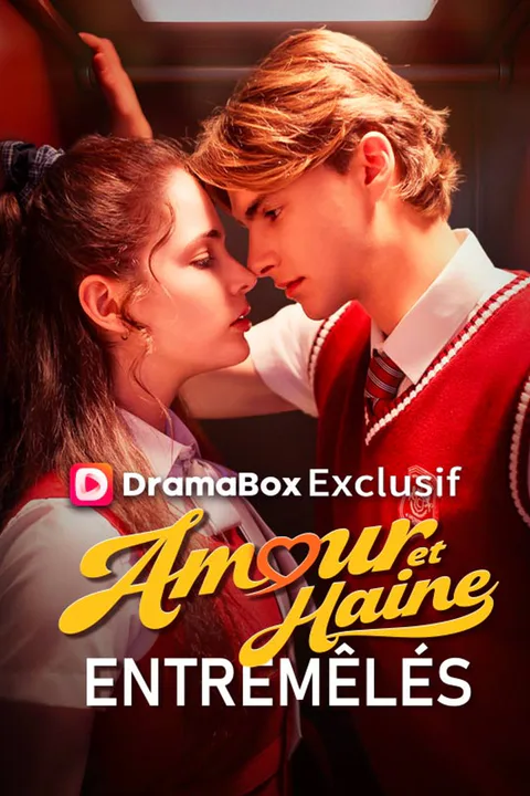 Affiche d’Amour et Haine Entremêlés