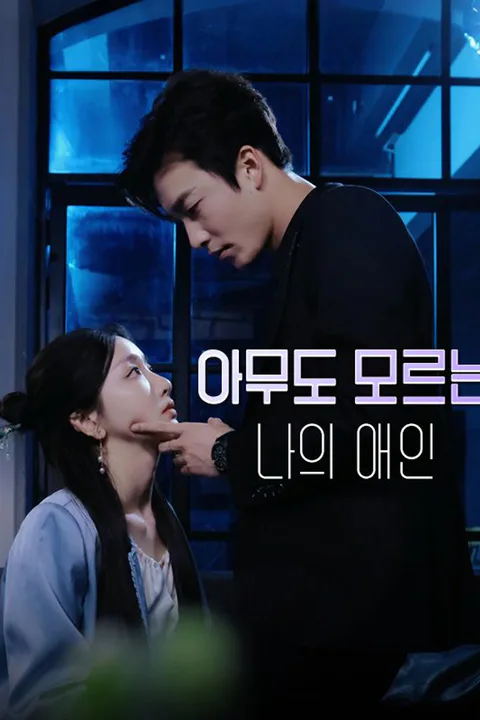 아무도 모르는 나의 애인 포스터