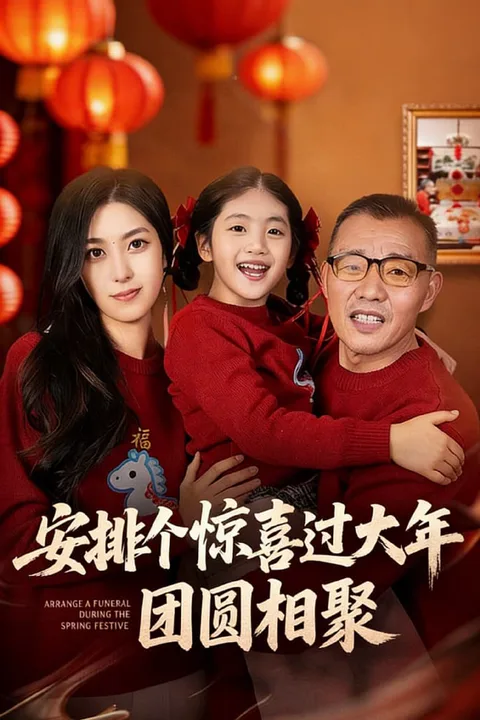 《安排个惊喜过大年》海报
